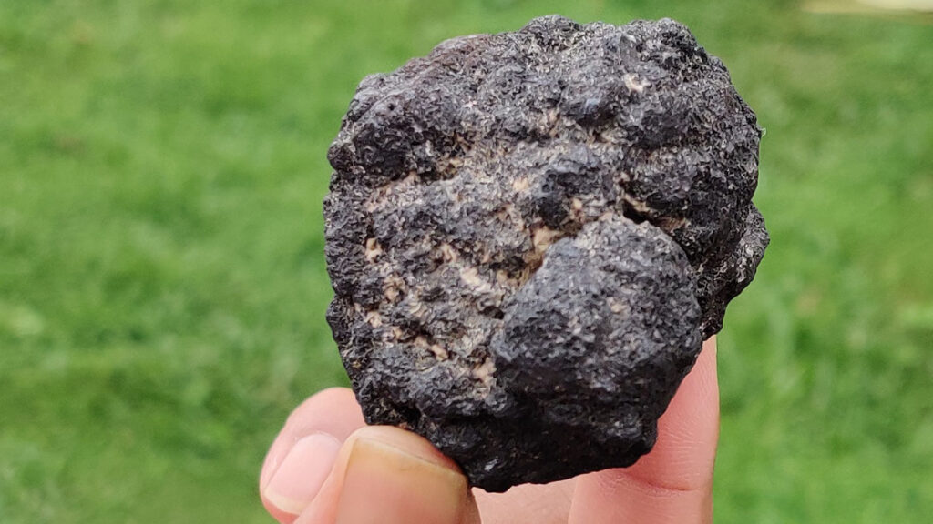 ஆராய்ச்சியாளர்களுக்கு நிதியளிக்கும் சுரங்க நிறுவனம் மகிழ்ச்சியாக இல்லை..பழங்கால உலோகக் கட்டிகளை கடல் அடிவாரத்தில் இருந்து ஆக்ஸிஜனை உற்பத்தி செய்வதாக ஆய்வில் கண்டறிந்துள்ளனர்.